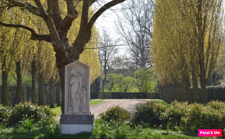 De Nieuwe Ooster begraafplaats